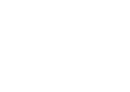 Lucid Logo